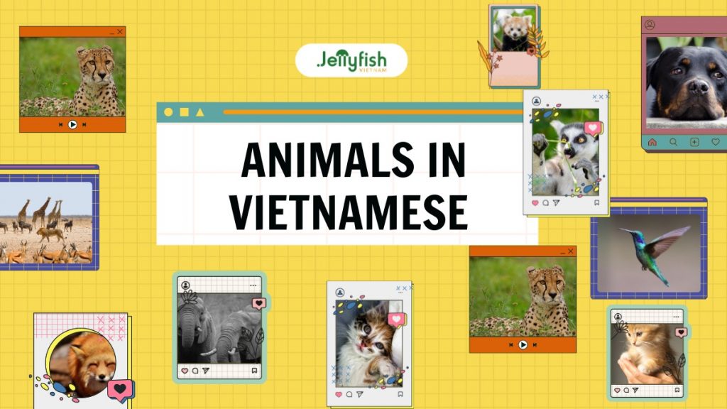 40+ ANIMALS IN VIETNAMESE - LEARN VIETNAMESE EASILY