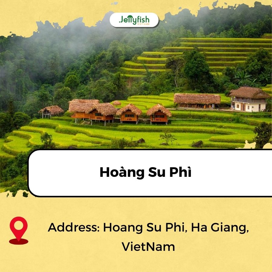best rice fields in vietnam