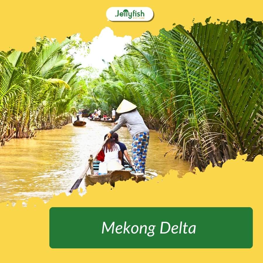  top things to do in ho chi minh