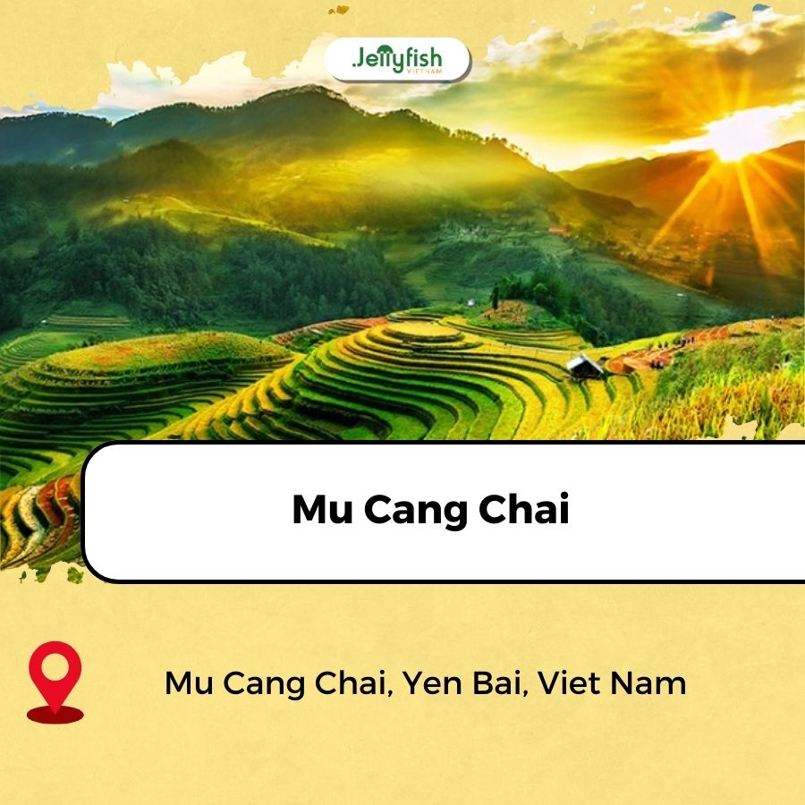 best rice fields in vietnam