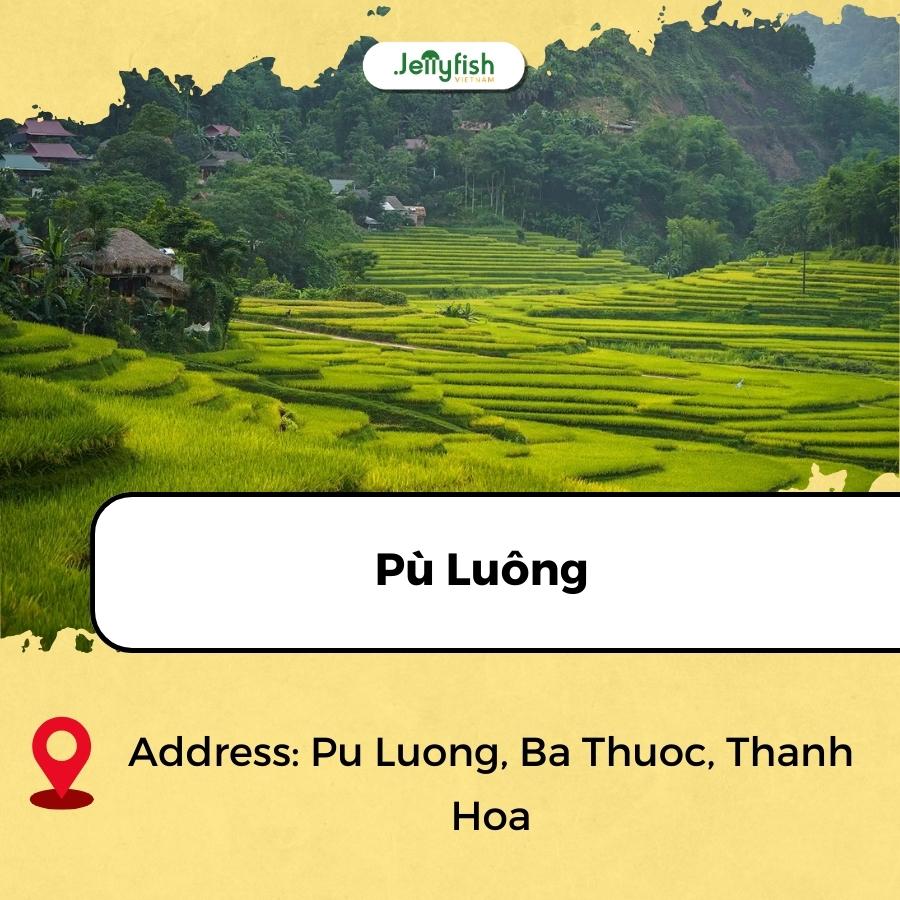 best rice fields in vietnam