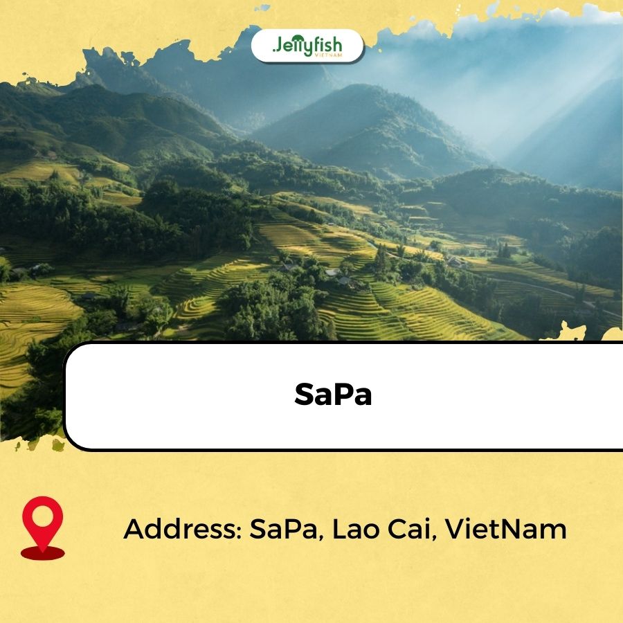 best rice fields in vietnam
