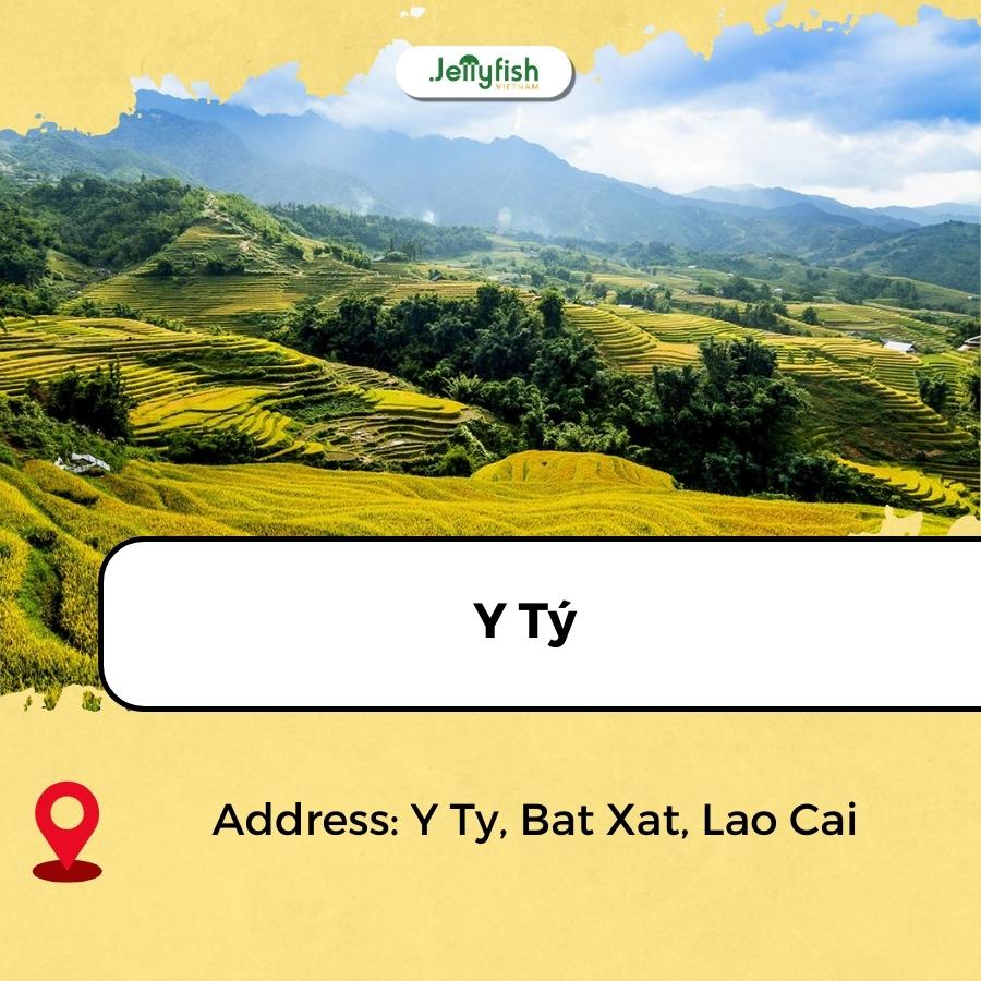 best rice fields in vietnam